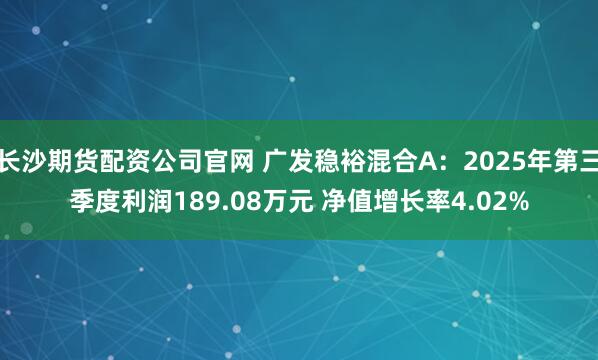 长沙期货配资公司官网 广发稳裕混合A：2025年第三季度利润189.08万元 净值增长率4.02%