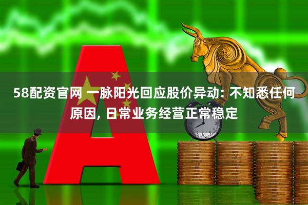 58配资官网 一脉阳光回应股价异动: 不知悉任何原因, 日常业务经营正常稳定